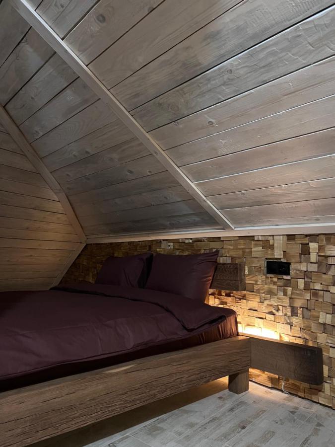 Luxury Live Apartment Kamianets Podilskyi Bagian luar foto