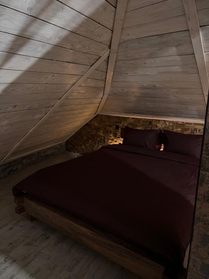 Luxury Live Apartment Kamianets Podilskyi Bagian luar foto